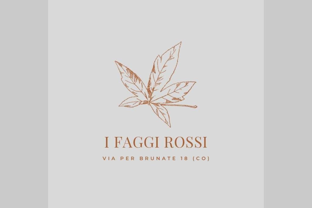 I Faggi Rossi - Red Beech Trees Villa Como Dış mekan fotoğraf