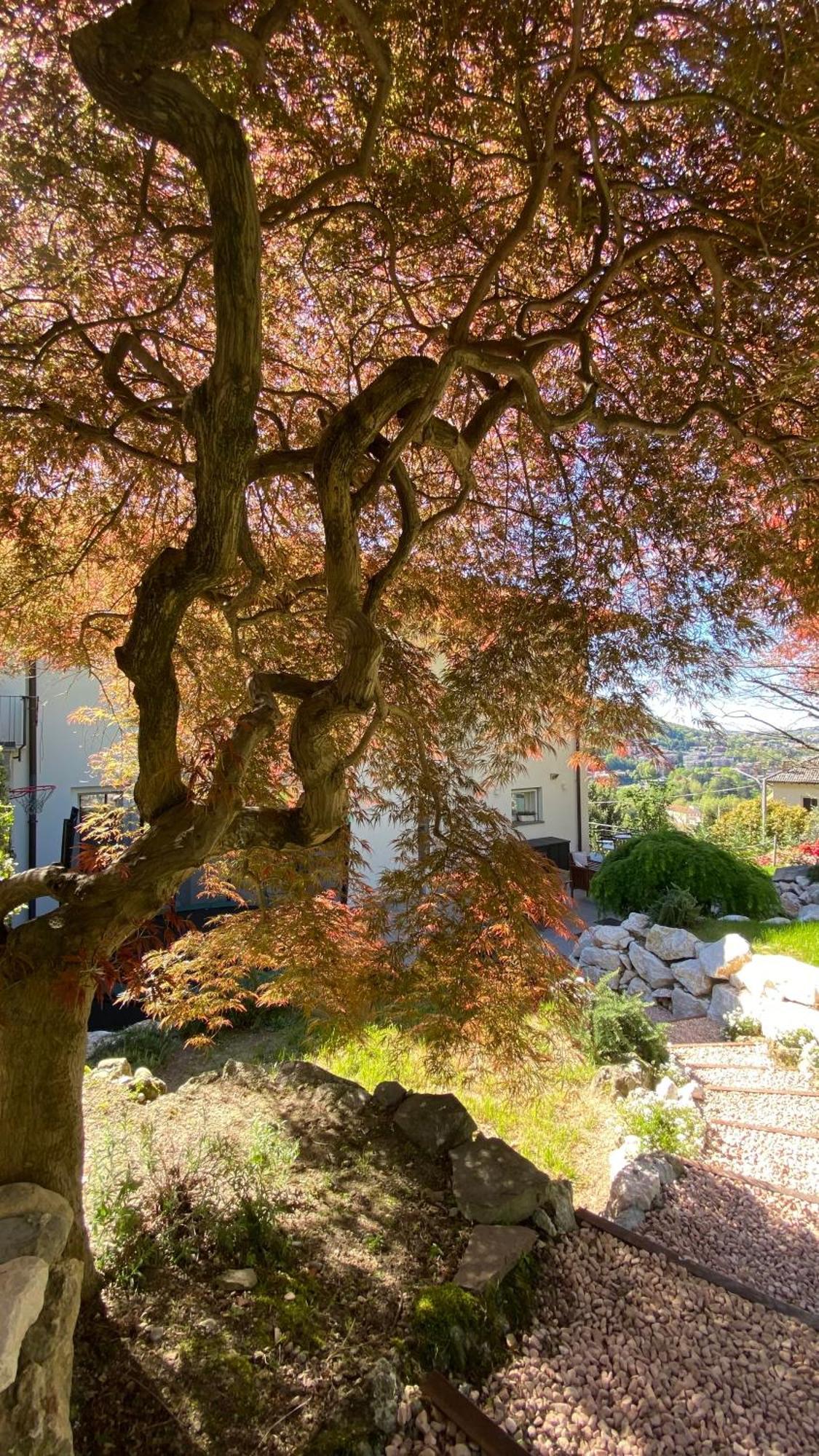 I Faggi Rossi - Red Beech Trees Villa Como Dış mekan fotoğraf